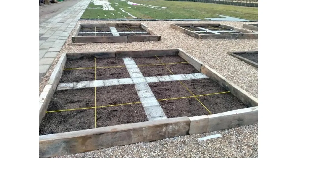 Groen dak experiment