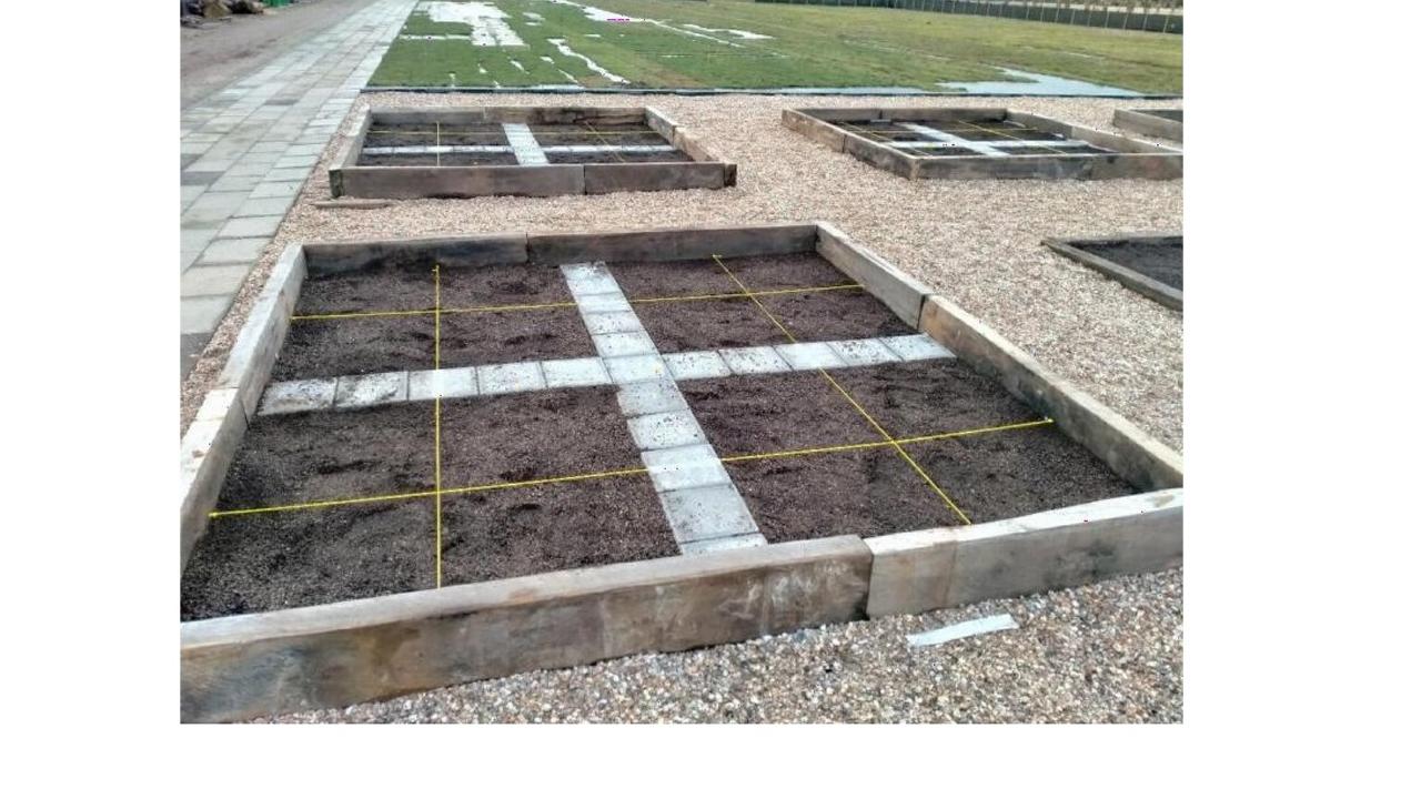 Groen dak experiment