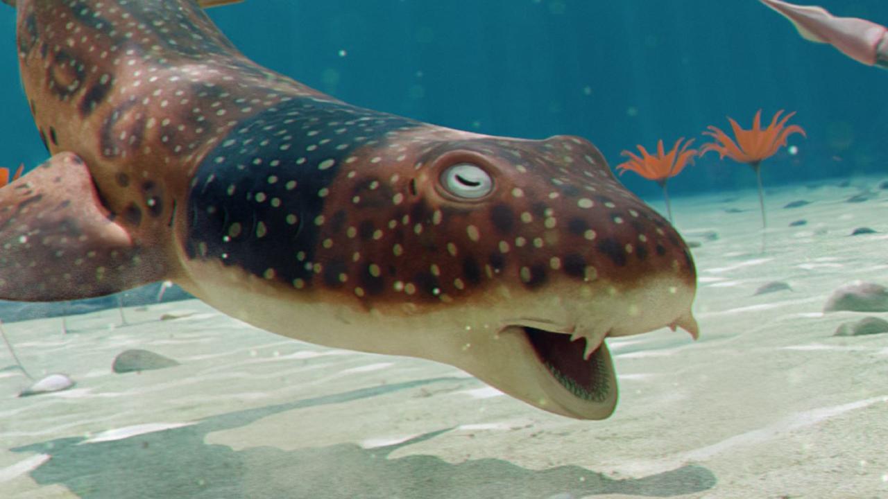 De nieuwe haaiensoort zou geleefd hebben in de warme tropische wateren die uiteindelijk delen van het Verenigd Koninkrijk zouden vormen. (c)Julio Lacerda