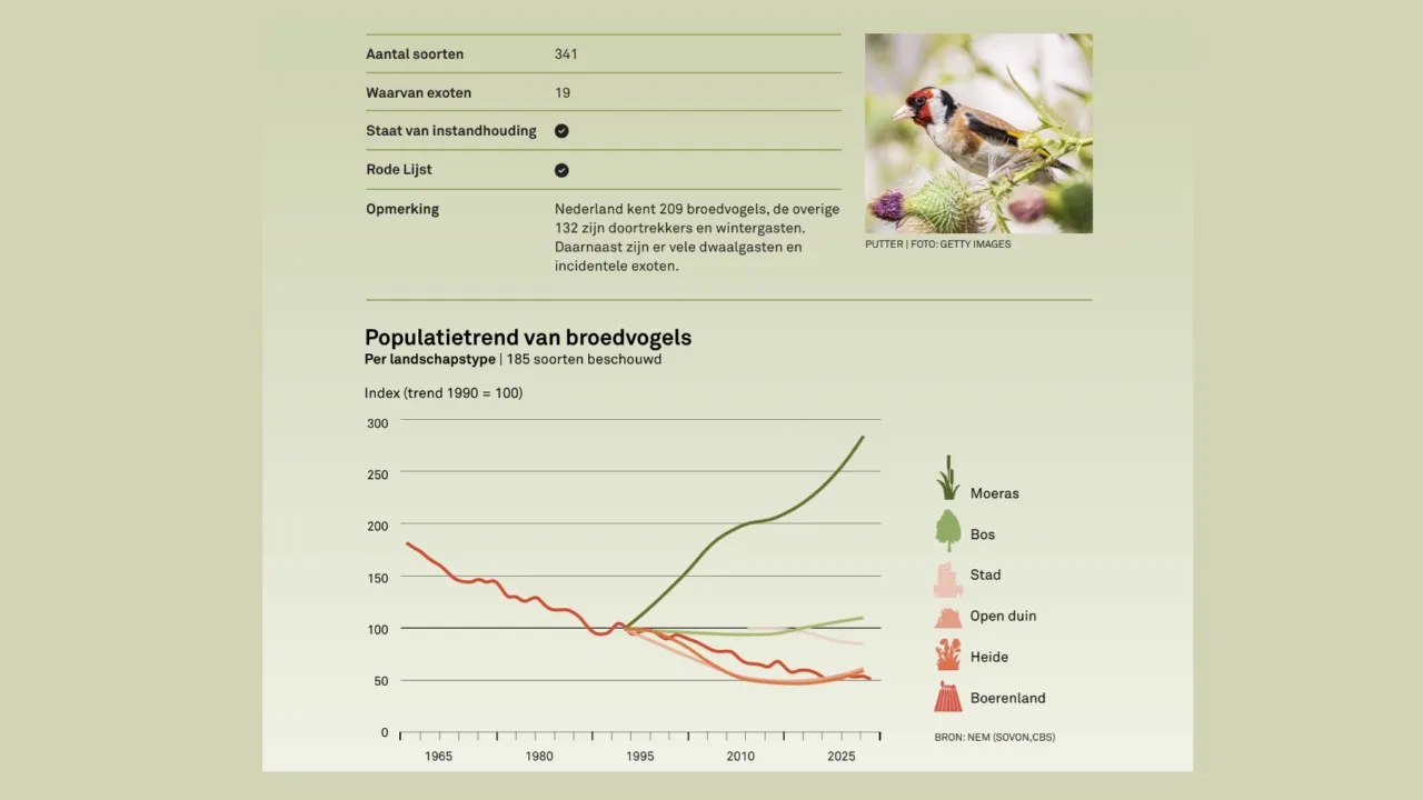 Hoe gaat het met de vogels?