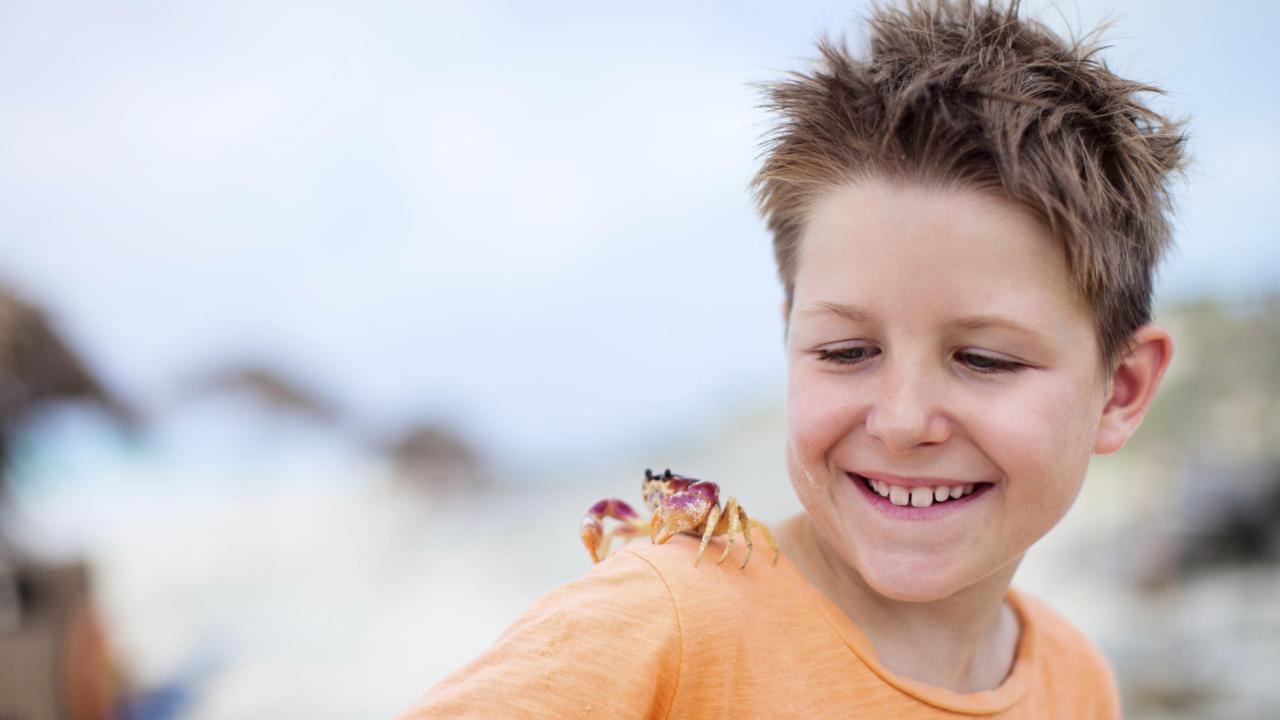 Kind met krab op schouder