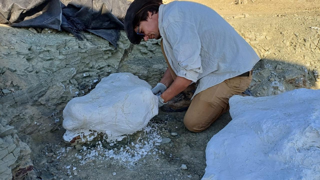 Erwin working on a plaster jacket