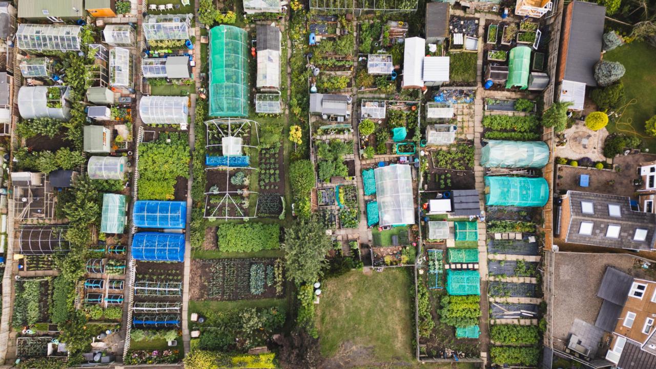 volkstuinpark bovenaanzicht