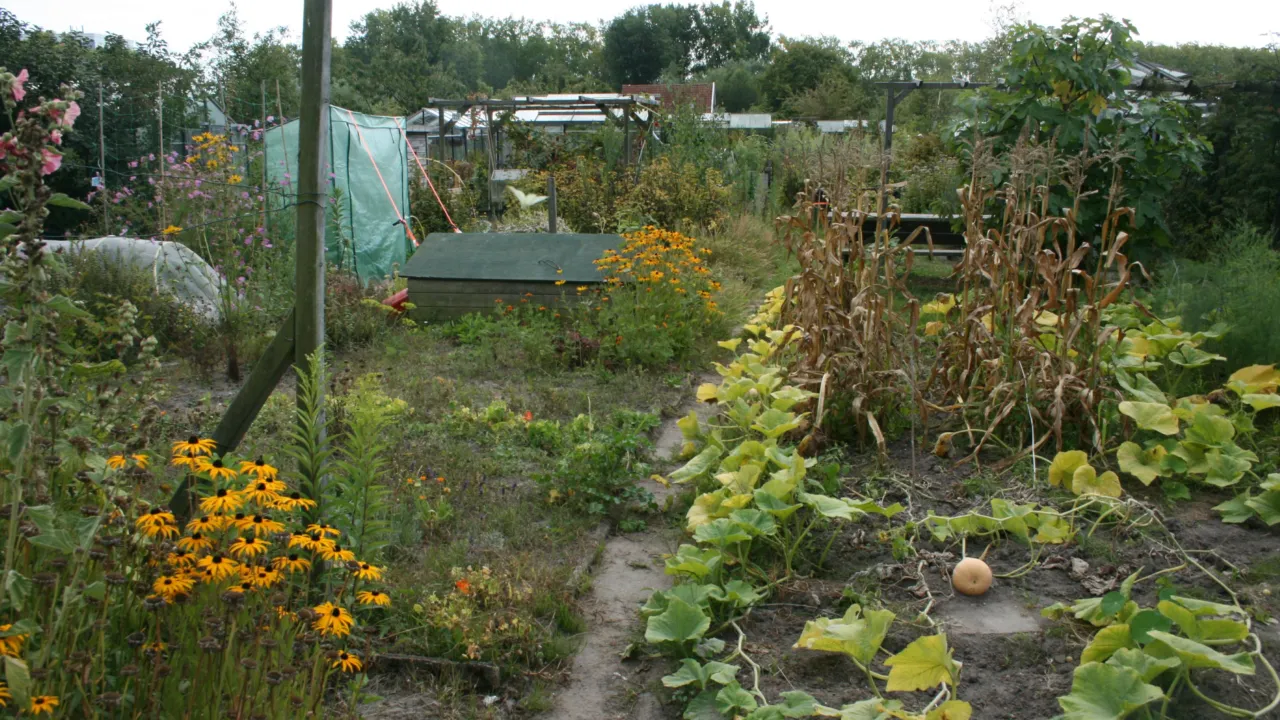 Volkstuinparken