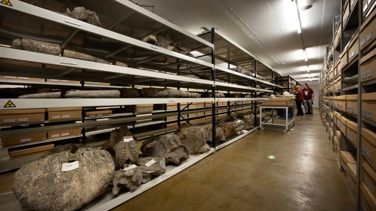 Stellingkasten credit Taco van der Eb