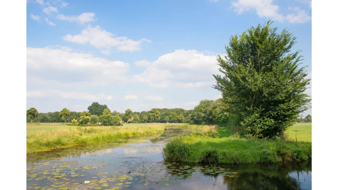 Hollands landschap