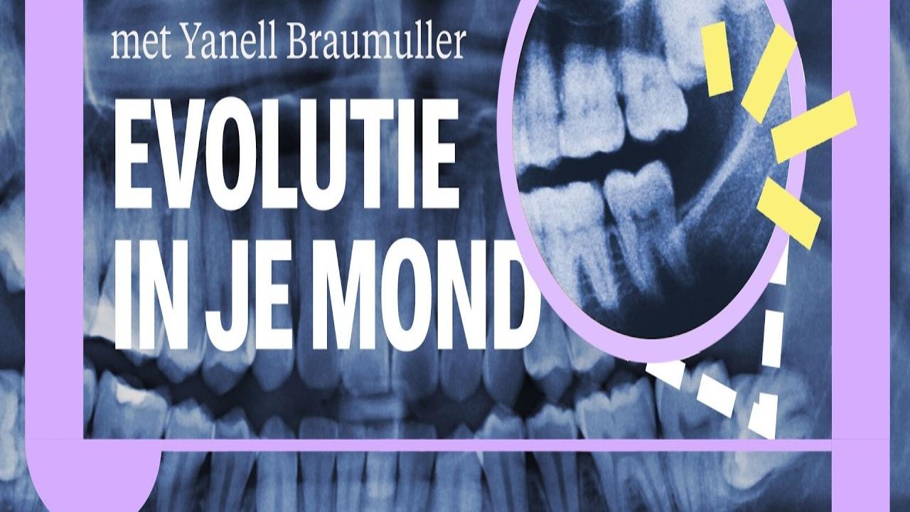 thumbnail for universiteit van nederland video