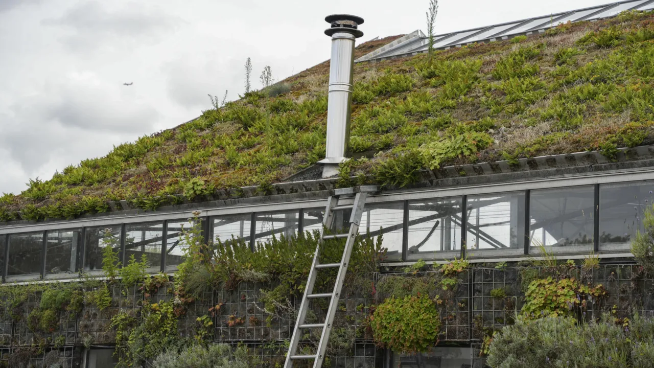 Bijna elk dak is geschikt om te vergroenen