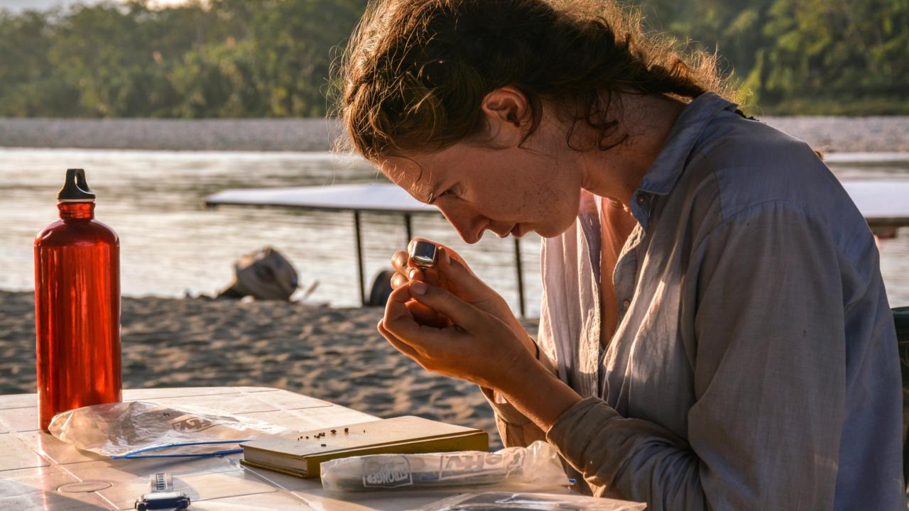 Een jonge vrouw zit aan een tafel aan het strand met een handloep naar kleine fossielen te kijken.