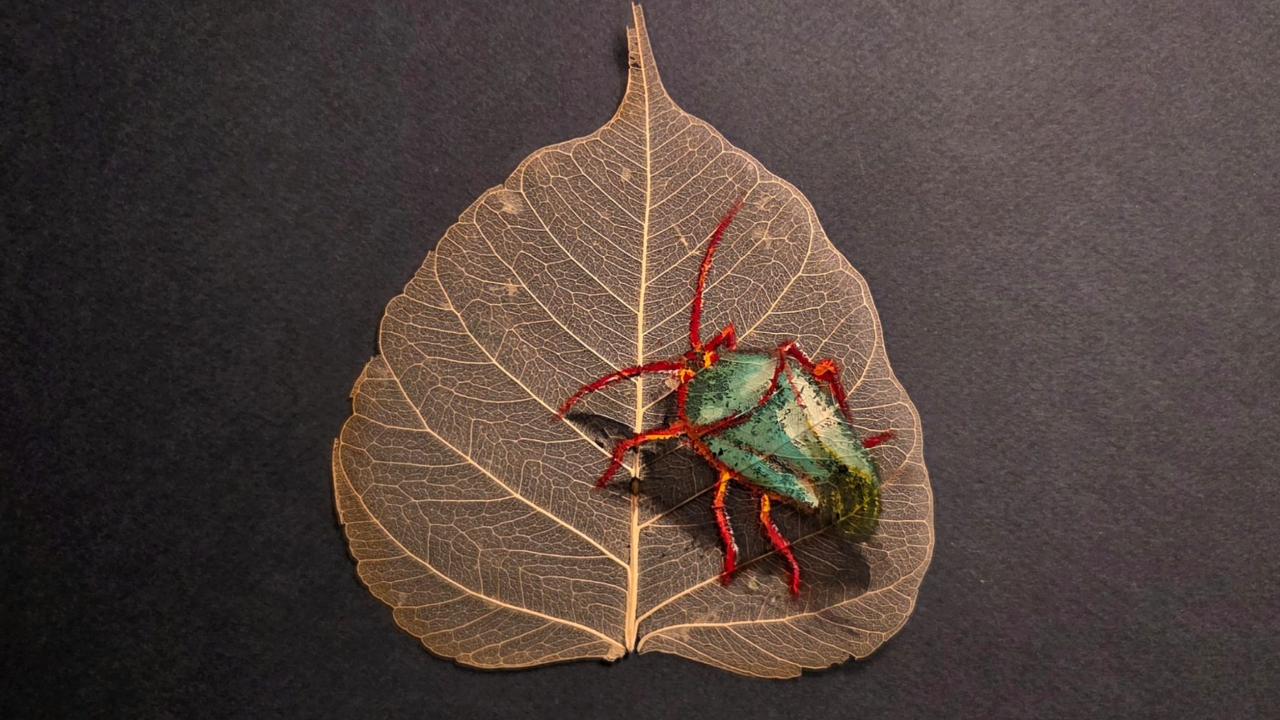 Leaf Painting - kever op blad geschilderd