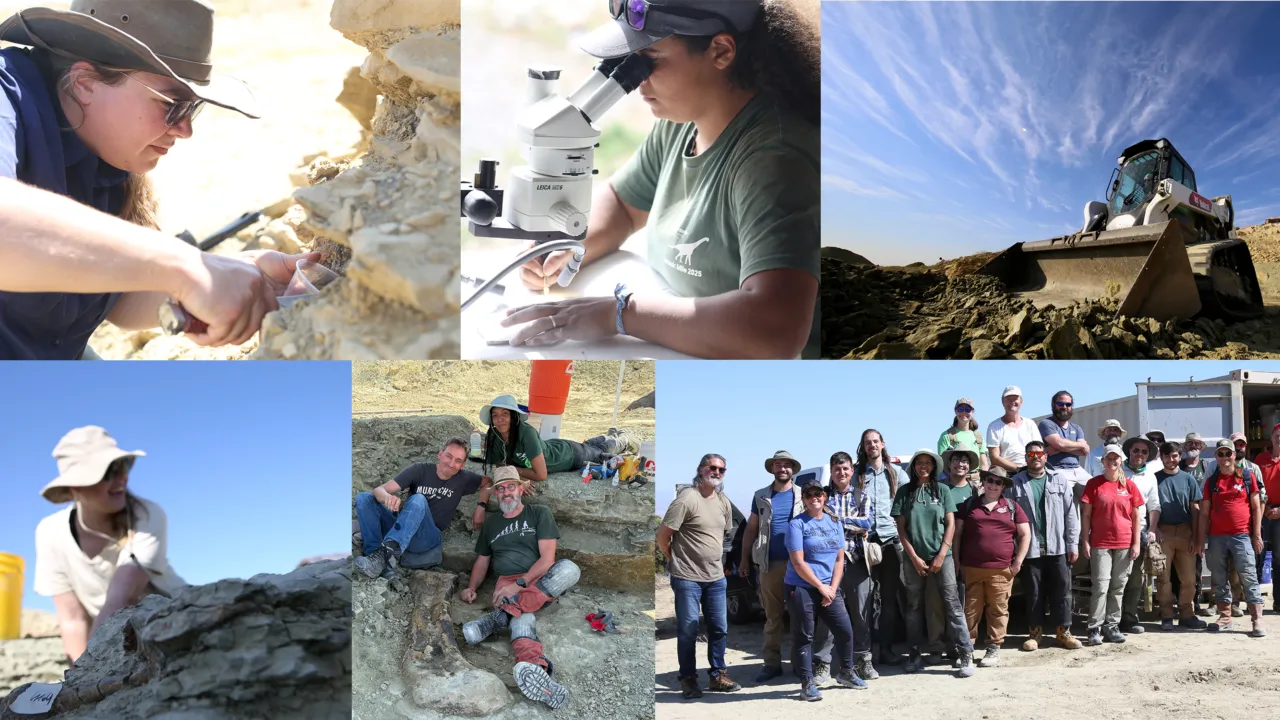 Photo collage of excavations at Jurassic Mile.