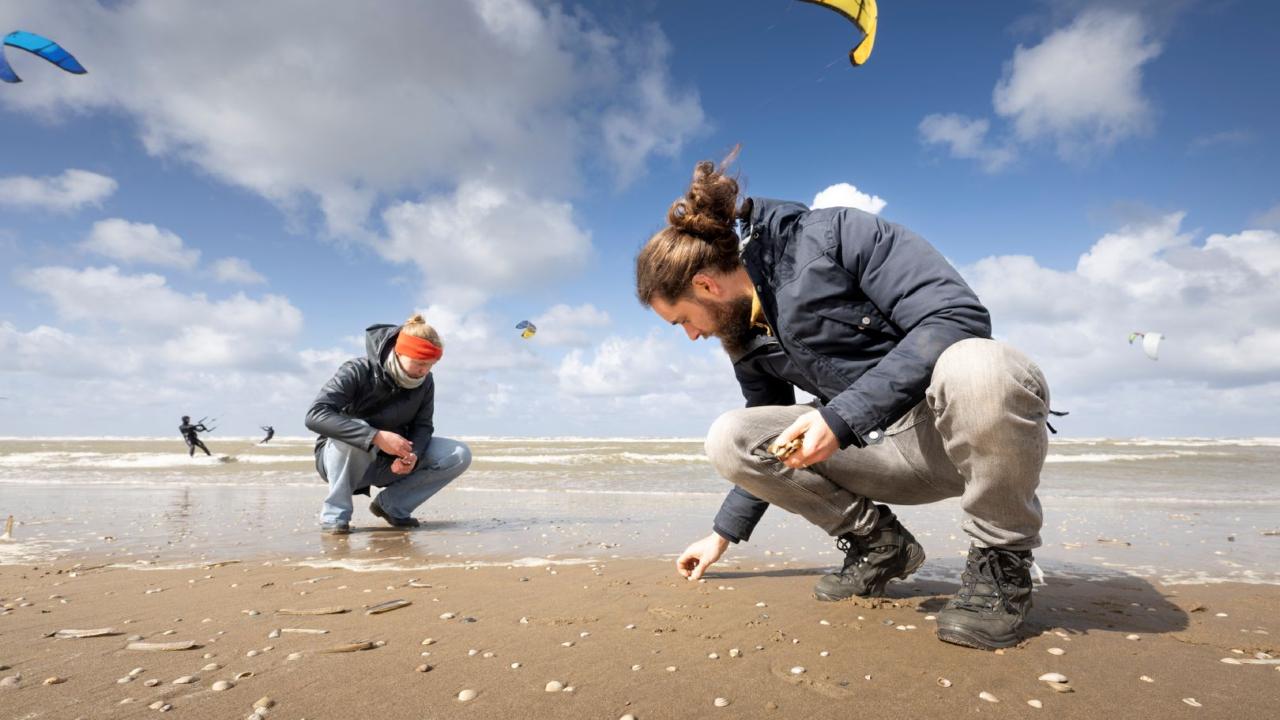Schelpentellers met Kite credit Taco van der Eb