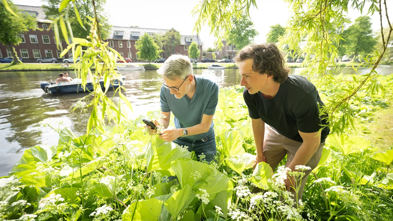 Twee mannen maken een foto van een plant met de app ObsIdentify