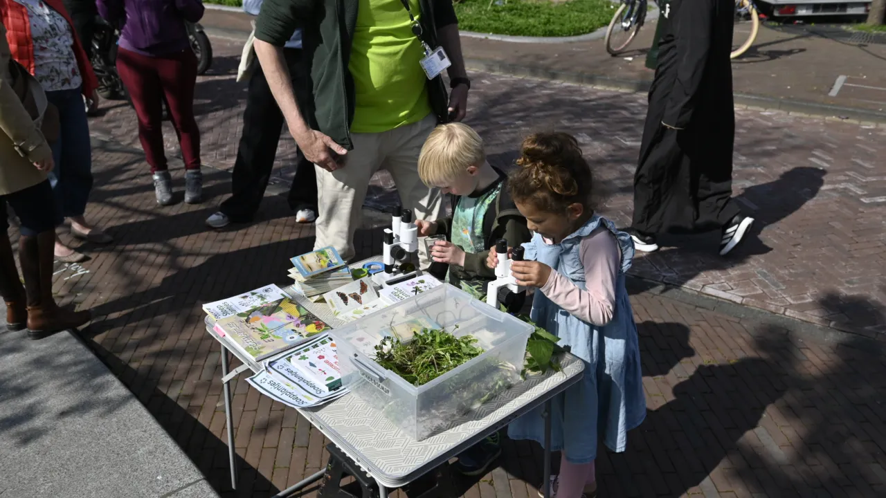 Twee kinderen kijken naar mos