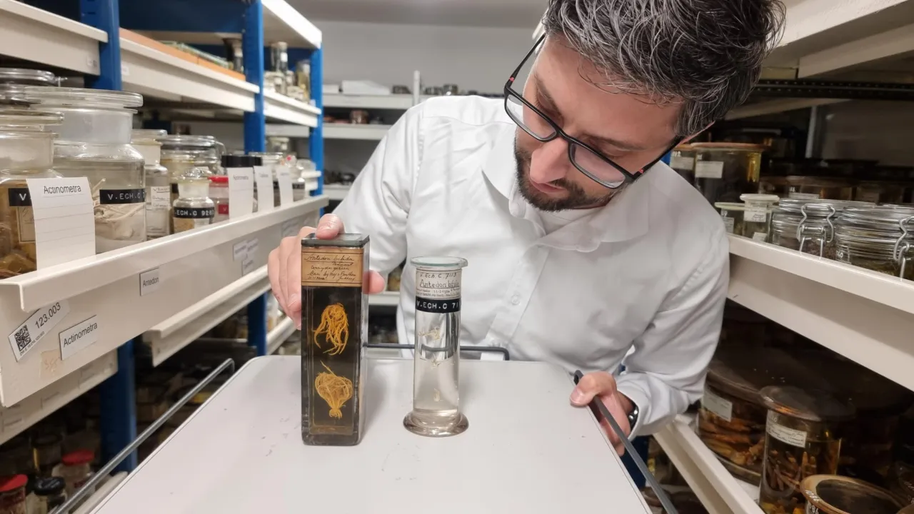 Collectiebeheerder Hannco Bakker met een stel potten met zeelelies.