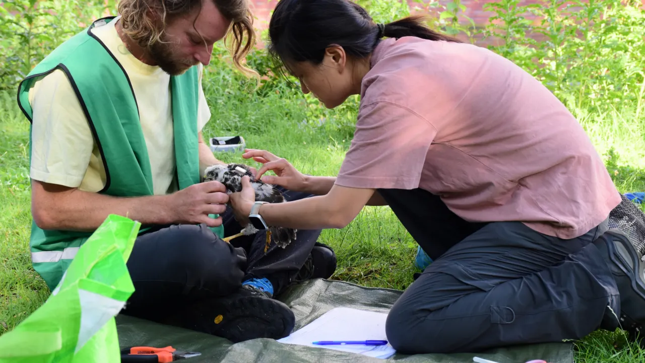 Photo of my fieldwork
