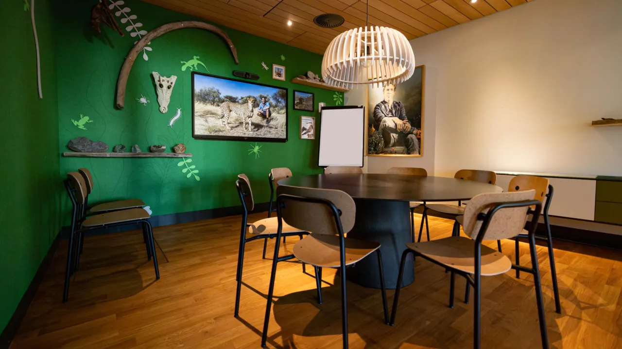 Overzichtsfoto groene kamer