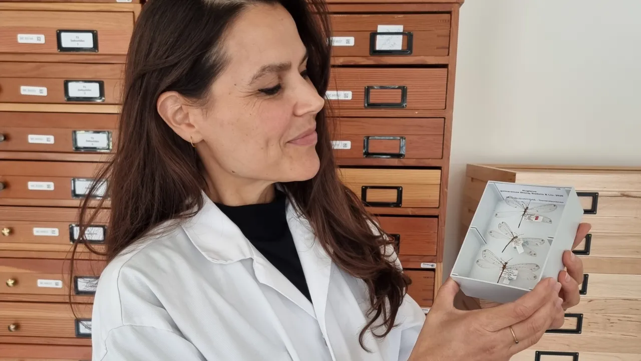 Mónica is de mierenleuuwen van Naturalis aan het bekijken