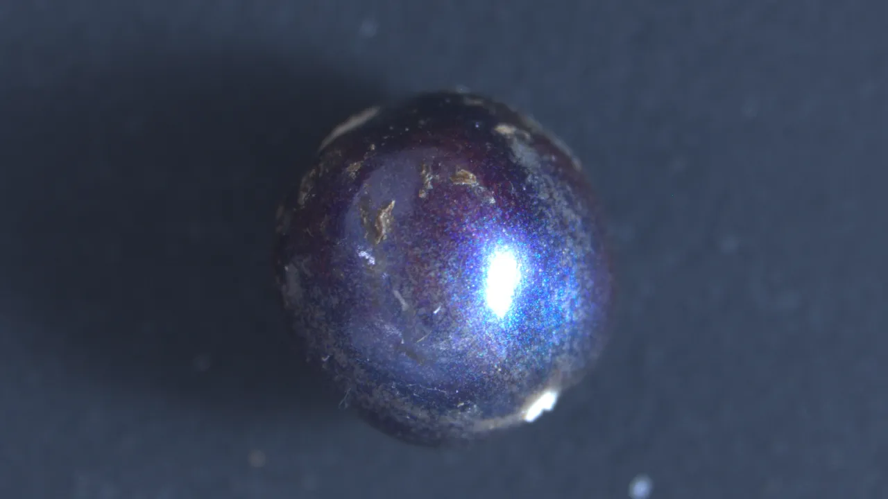 Fruit of Pollia condensata
