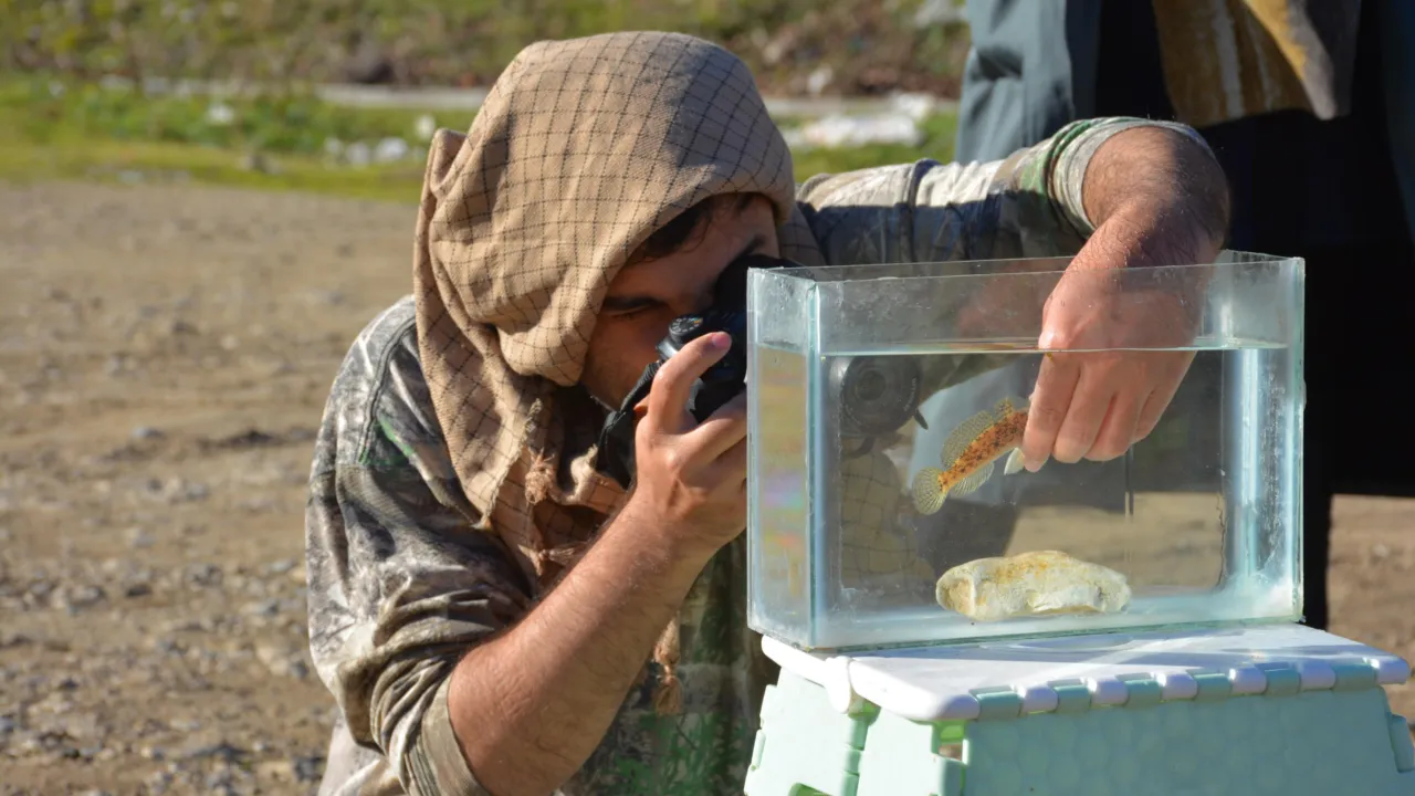 Photographing a fish