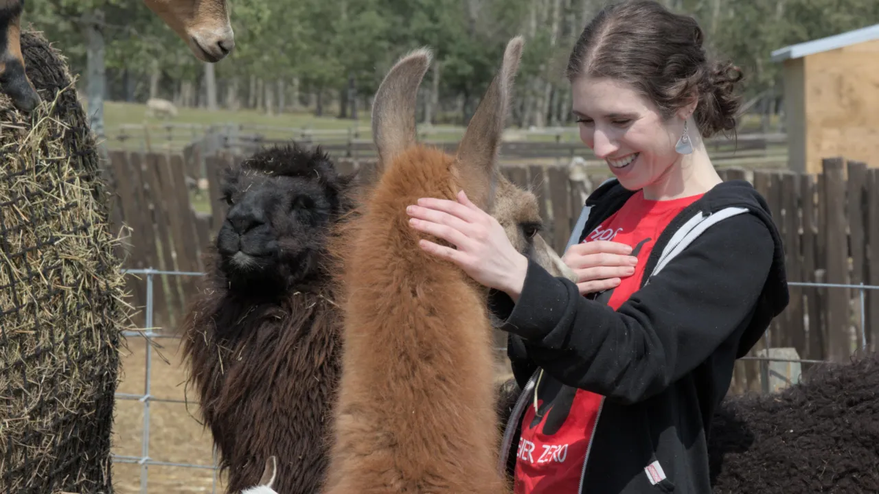 Dr. Robson petting a llama