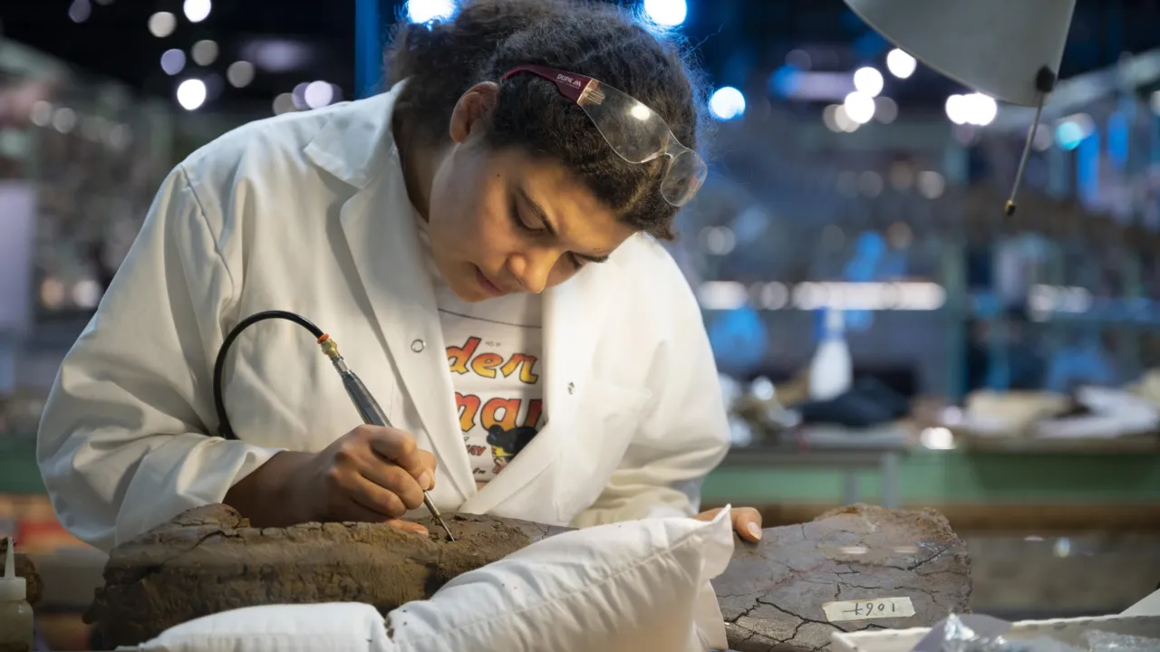 Yasmin in Dinolab