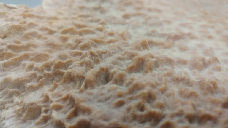 close up van een wervel