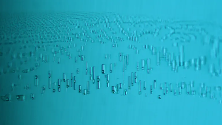 two phase inclusions in flux-grown emerald