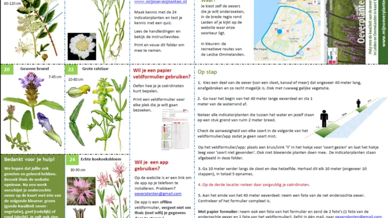 oeverplanten