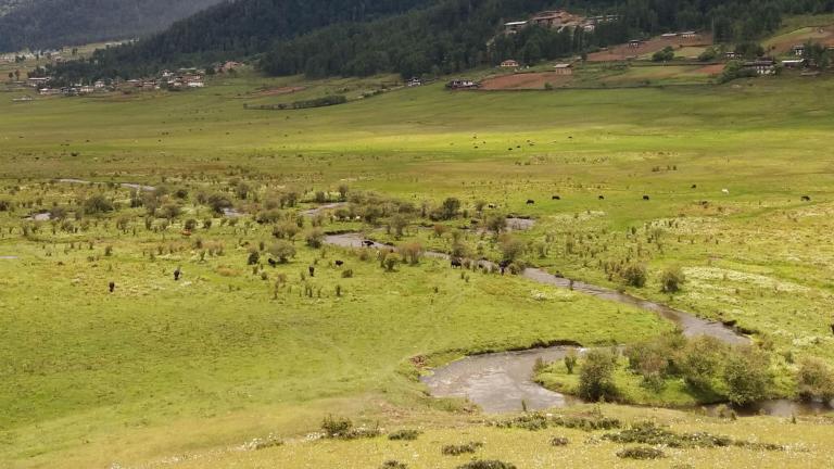 Landschap Bhutan