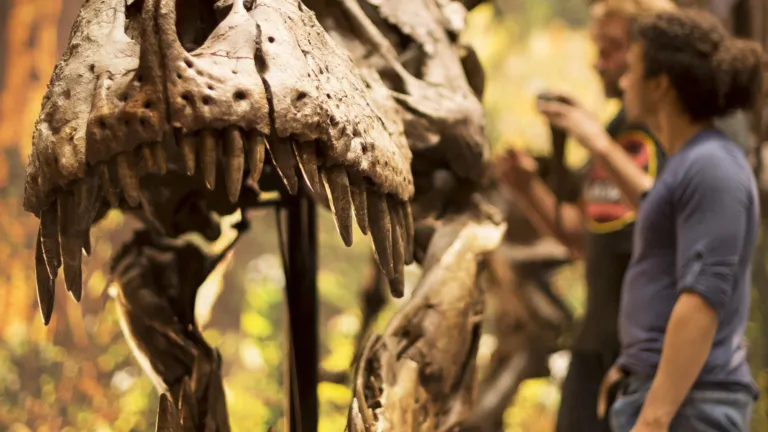 T. rex Trix van voren