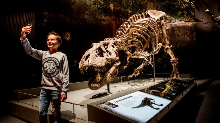 Dinotijd T. rex Trix selfie