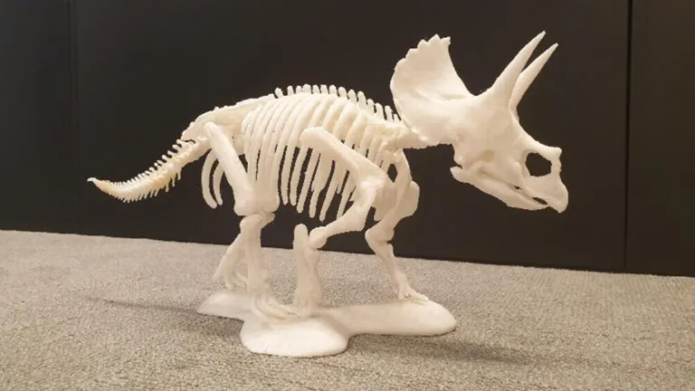 Kopie van Triceratops