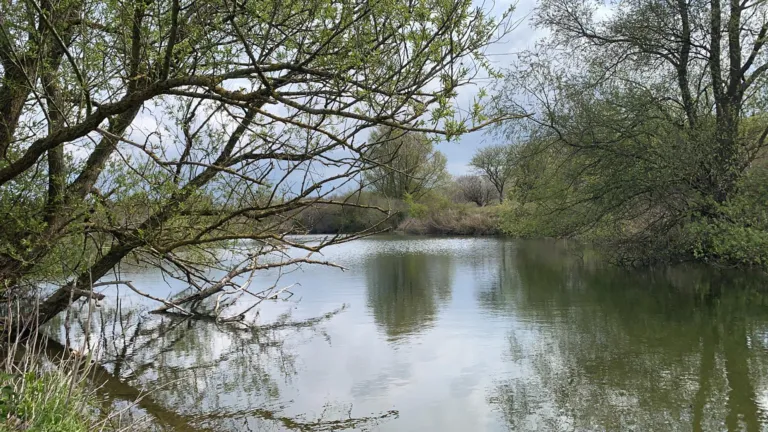 Natuurgebied Staatsbosbeheer