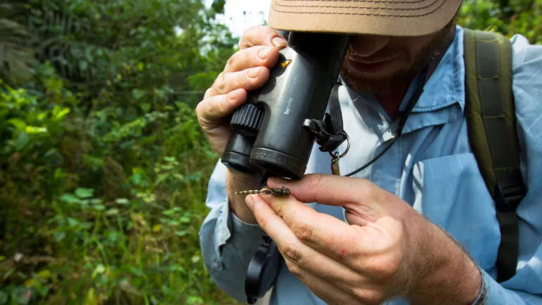 Researcher in the field
