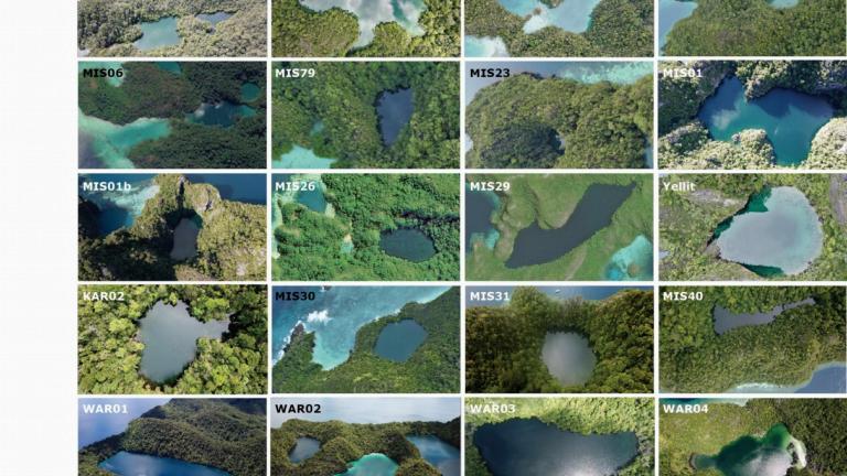 Drone images of marine lakes