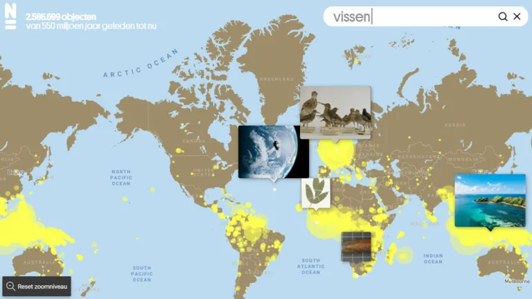Expeditie Online
