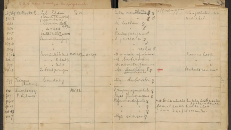Dagboek van Bonne-Webster