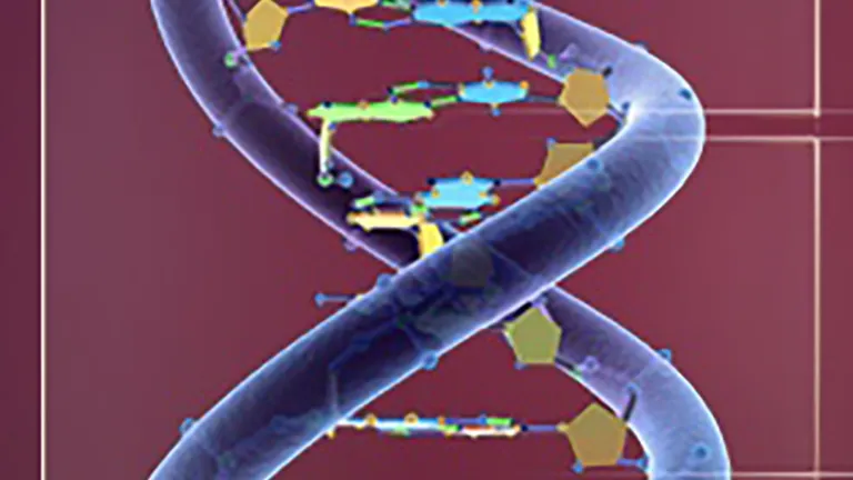 DNA