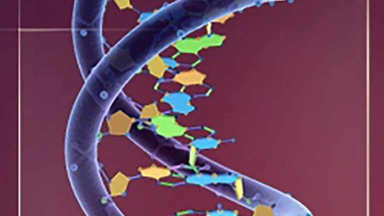DNA