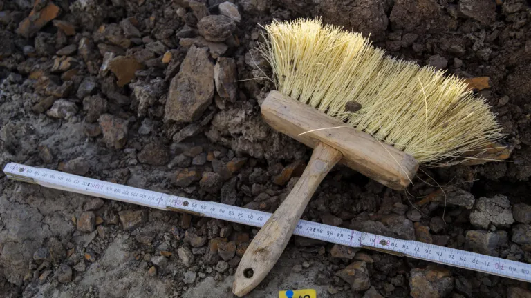 Paleontologist's brush during the Triceratops expedition