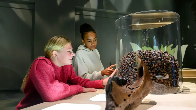 Kids playing with an interactive