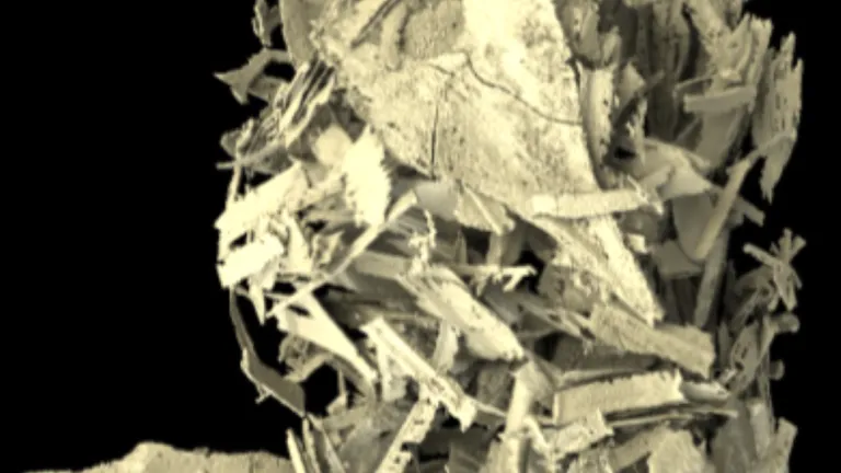 3D model of coprolite contents