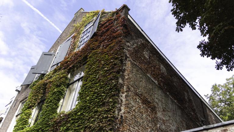 groene gevel