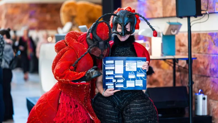 Grote insecten