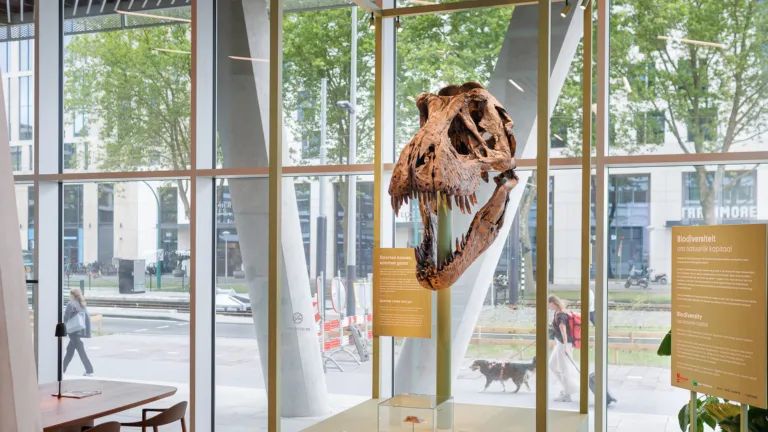 Replica van T.rex