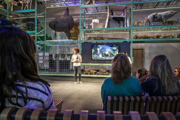 LiveScience prepareren