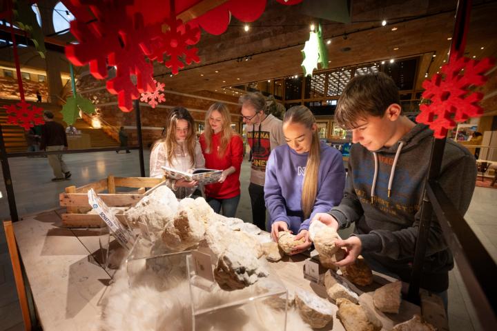 Geodes kraken in het atrium