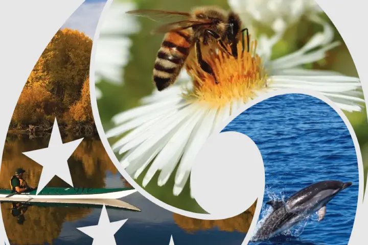 Biodiversa+