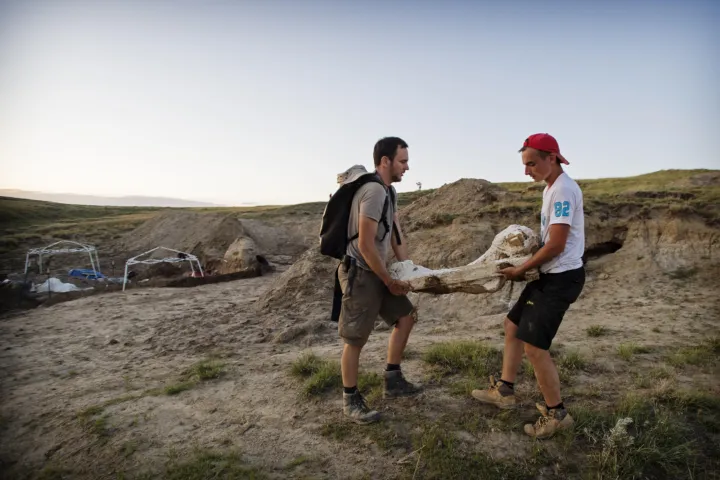 Paleontologists with bone